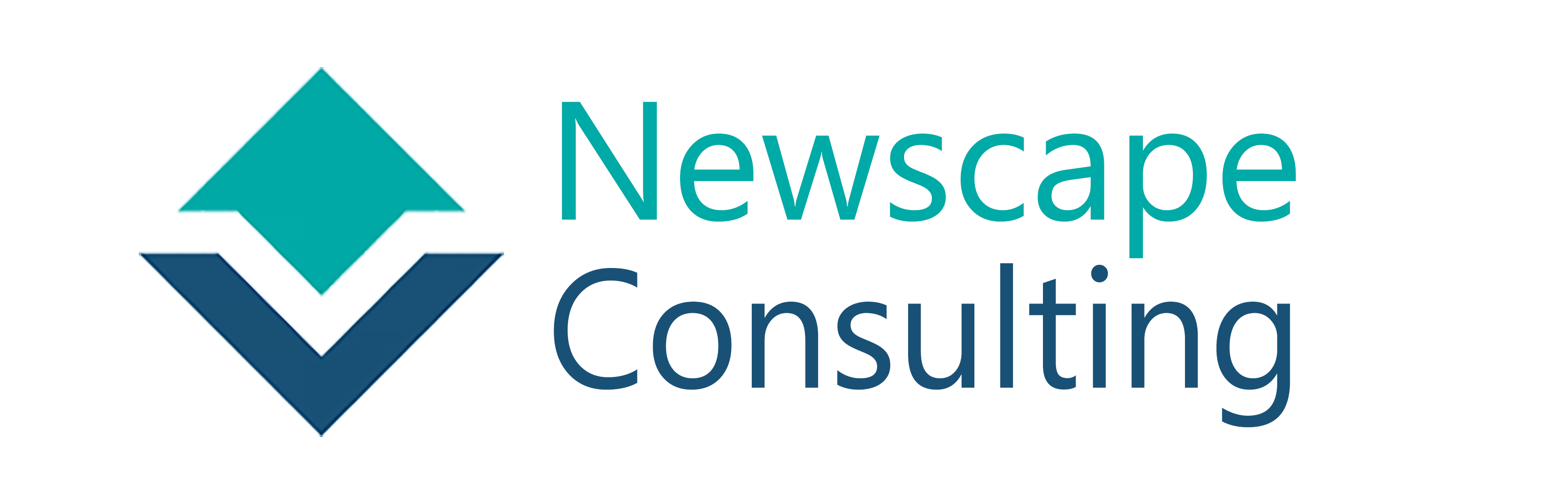 Newscape Consulting