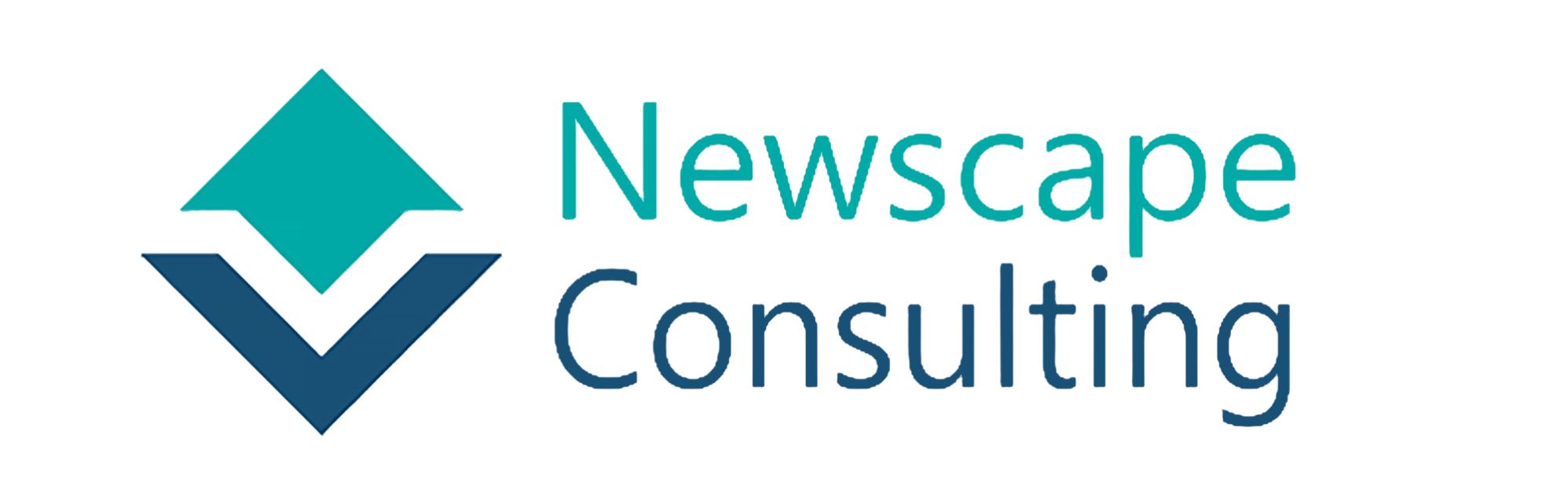 Newscape Consulting